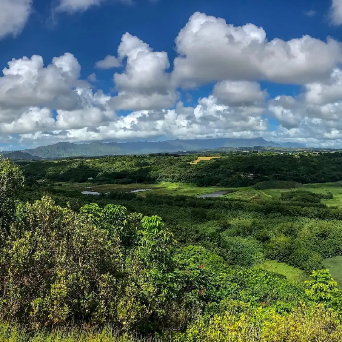 Hawaii Landscape View from above