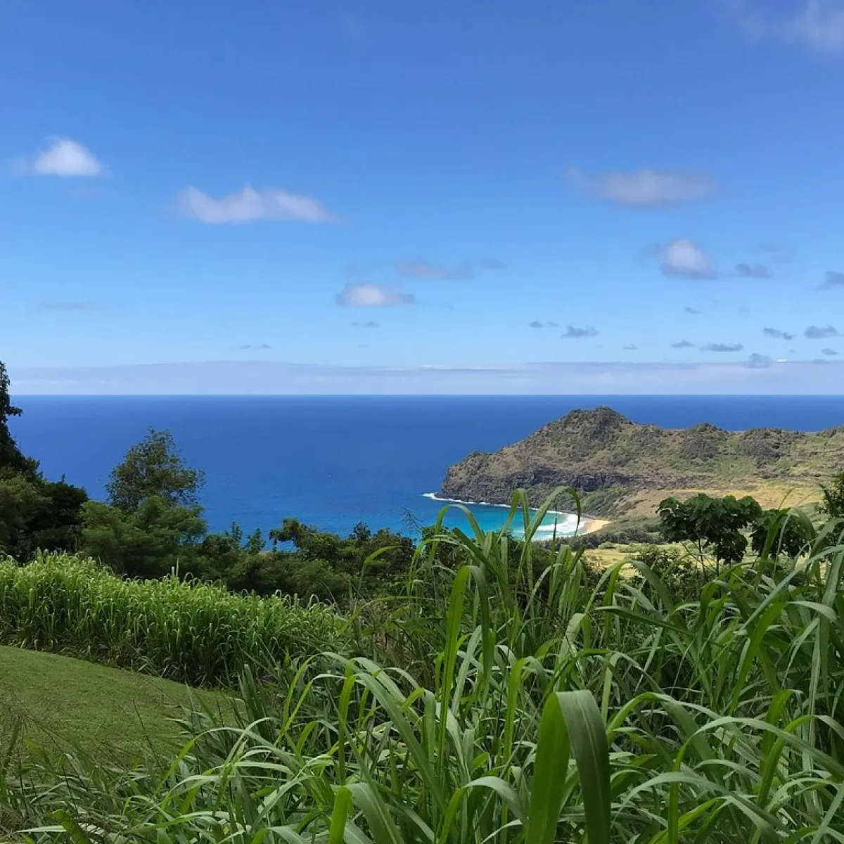 views of a Hawaii Beach from above