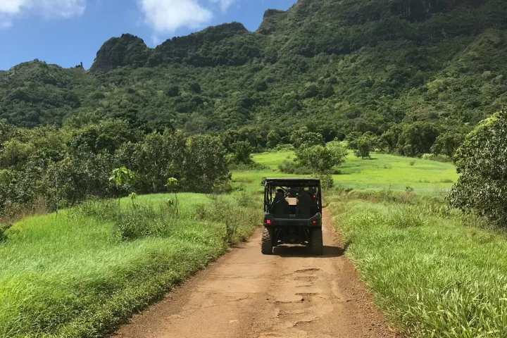 back of a UTV driving on a dirt trail in Hawaii