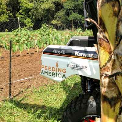 a tractor on top of a car