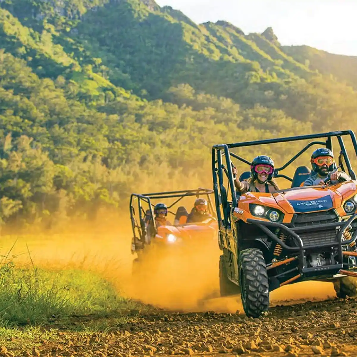 a tractor in a field with a mountain in the background